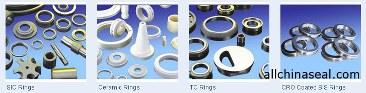 Mechanical Seal Ring